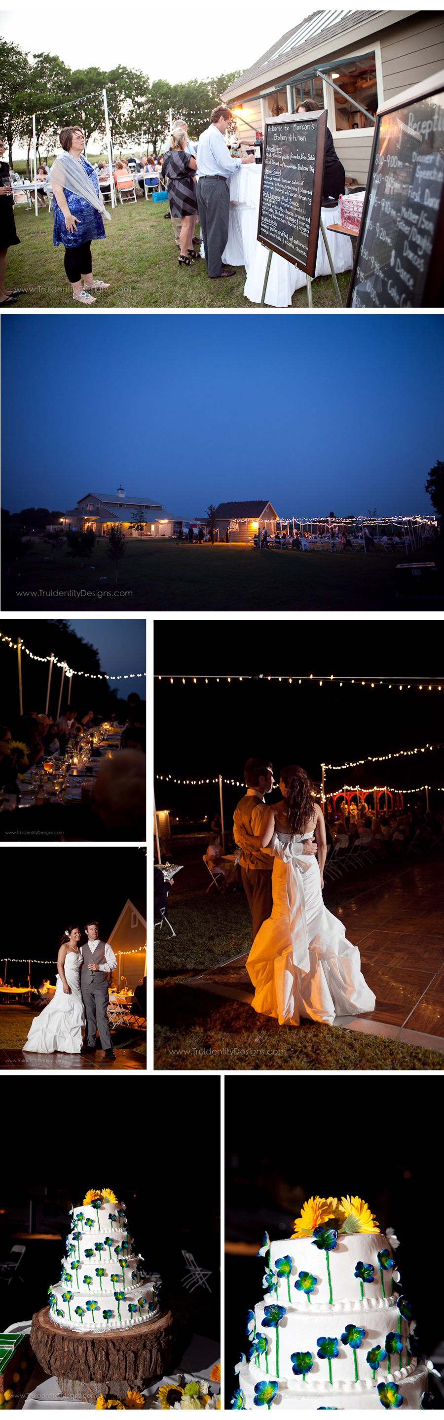 Eden Hill Farm and Vineyard wedding reception photos