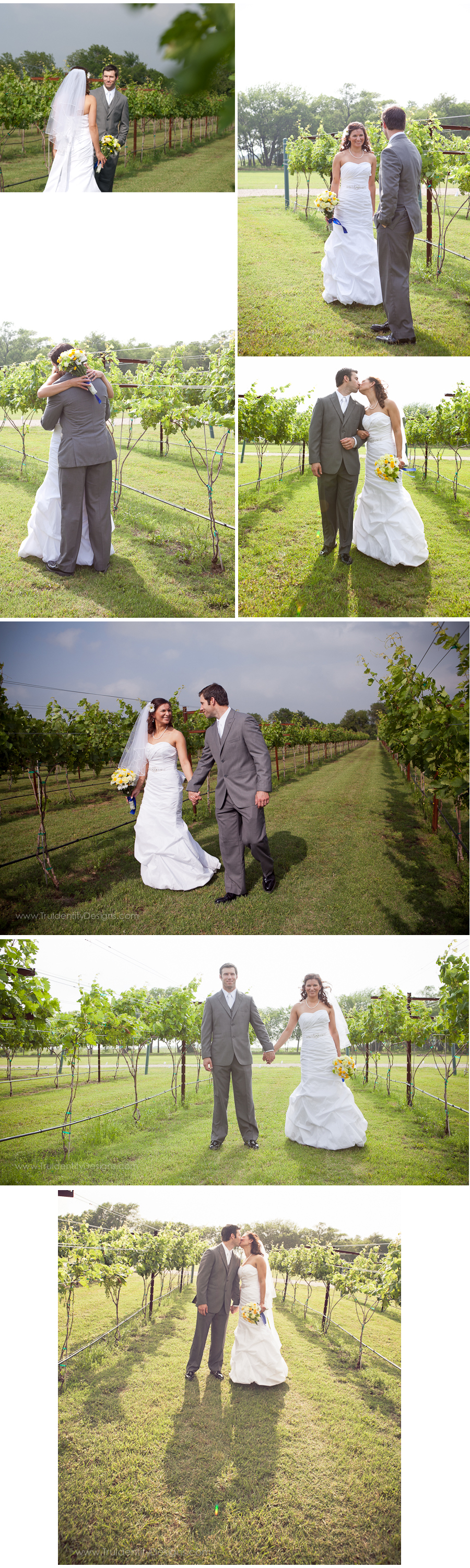 Celina Vineyard wedding Eden Hill Farms Vineyard wedding photos